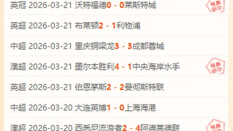 “李昂助力海港逆转中央海岸水手，武磊发挥关键作用传射建功”