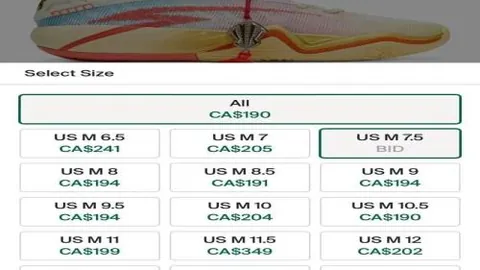 康利妙传戈贝尔扣篮，视觉盛宴震撼呈现